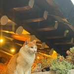 Stream You Got by na.Than_ | Listen online for free on SoundCloud You Got