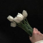 Stream 호수 - 초승 by Som | Listen online for free on SoundCloud 호수 -  초승