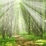 Stream Straight Up - Sanctuary Live Set @ Sanctuary Florida... Straight Up - Sanctuary Live Set @ Sanctuary Florida Monticello