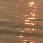 Stream 바다가 되고 싶어요(cover) by SANGO | Listen online for free on SoundCloud 바다가 되고 싶어요(cover)