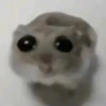 Listen to music albums featuring sugar by francine.mp3 online for free on SoundCloud sugar