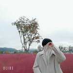 Stream 나는 종종 한낱 미물 따위에 겁을 먹곤 한다. by Ashitabi dam | Listen online for free on SoundCloud 나는 종종 한낱 미물... 