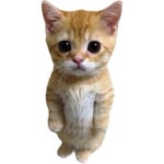 Stream 승주 | Listen to 굳 playlist online for free on SoundCloud 굳