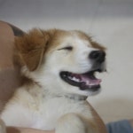 Stream Minniemix - 2020 by bryan_bja | Bryan Bja | Listen online for free on SoundCloud Minniemix - 2020