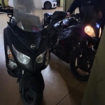 Stream 작약꽃 챌린지 by 신한사거리 | Listen online for free on SoundCloud 작약꽃 챌린지