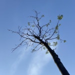 Stream 01 REC - 2024 - 07 - 09 by Ether_163 | Listen online for free on SoundCloud 01 REC - 2024 - 07 - 09