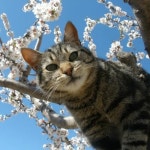 Stream вайб by разетка) | Listen online for free on SoundCloud вайб