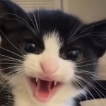 Stream L0ST (demo) by Augie - Heyimjusvibin | Listen online for free on SoundCloud L0ST (demo)