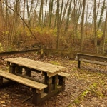 Stream Selfish by Plocti | Listen online for free on SoundCloud Selfish