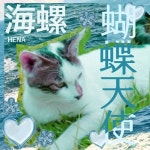 Stream 나비천사 (蝴蝶天使) by HENA : 海螺 | Listen online for free on SoundCloud 나비천사 (蝴蝶天使)