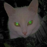 Stream 14´07 - OVVER12 by ovver12 | Listen online for free on SoundCloud 14´07 - OVVER12