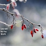 Stream 나의 하루(My Day) by 함승제 | Listen online for free on SoundCloud 나의 하루(My Day)