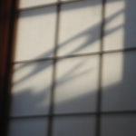 Stream kn | Listen to 春号(2024) playlist online for free on SoundCloud 春号(2024)
