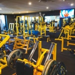 Stream Alpapa | Listen to Gym playlist online for free on SoundCloud Gym