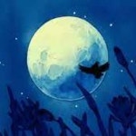 Stream NUIT by 누 (NOO) | Listen online for free on SoundCloud NUIT