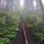 Stream moguhiko | Listen to Exercises for Extreme Hikes Vol.1 playlist online for free on SoundCloud Exercises for Extreme Hikes... 