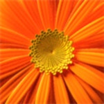 Stream BAZA music | Listen to songs, albums, playlists for free on SoundCloud BAZA