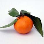 Stream Tangerine dOr music | Listen to songs, albums, playlists for free on SoundCloud Tangerine dOr