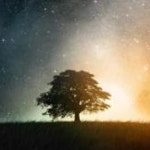 Stream Hoàng Ngọc Tân music | Listen to songs, albums, playlists for free on SoundCloud Hoàng Ngọc Tân