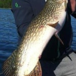 Stream joakim68 music | Listen to songs, albums, playlists for free on SoundCloud joakim68