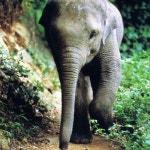 Stream aiysk8 music | Listen to songs, albums, playlists for free on SoundCloud aiysk8