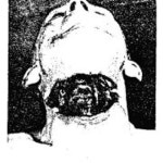 Stream Kamil Smólski music | Listen to songs, albums, playlists for free on SoundCloud Kamil Smólski