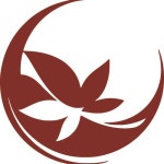 Stream Cincleaf music | Listen to songs, albums, playlists for free on SoundCloud Cincleaf
