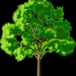 Stream mr big tree music | Listen to songs, albums, playlists for free on SoundCloud mr big tree