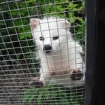 Stream Thomas Vonk music | Listen to songs, albums, playlists for free on SoundCloud Thomas Vonk