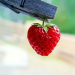 Stream nada2222 music | Listen to songs, albums, playlists for free on SoundCloud nada2222