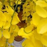 Stream Ale Ibánez 2 music | Listen to songs, albums, playlists for free on SoundCloud Ale Ibánez 2