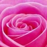 Stream Poetry Marlyn music | Listen to songs, albums, playlists for free on SoundCloud Poetry Marlyn