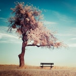 Stream xjy music | Listen to songs, albums, playlists for free on SoundCloud xjy