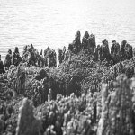 Stream THE_MATTER music | Listen to songs, albums, playlists for free on SoundCloud THE_MATTER