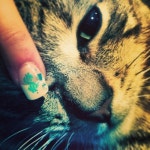 Stream user338639542 music | Listen to songs, albums, playlists for free on SoundCloud user338639542