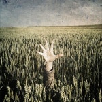 Stream Chris Kwak music | Listen to songs, albums, playlists for free on SoundCloud Chris Kwak