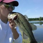 Stream user151172805 music | Listen to songs, albums, playlists for free on SoundCloud user151172805