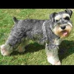 Stream Wilmer Reyes music | Listen to songs, albums, playlists for free on SoundCloud Wilmer Reyes