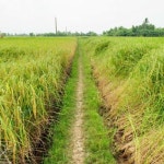 Stream Nguyen Xavi music | Listen to songs, albums, playlists for free on SoundCloud Nguyen Xavi