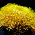 Stream Bruno Fuerza music | Listen to songs, albums, playlists for free on SoundCloud Bruno Fuerza