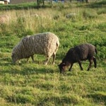 Stream Chanwoo Kata music | Listen to songs, albums, playlists for free on SoundCloud Chanwoo Kata