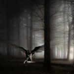 gideongraystairs | Free Listening on SoundCloud gideongraystairs