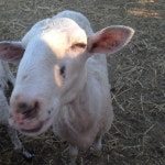 Stream User 107745328 music | Listen to songs, albums, playlists for free on SoundCloud User 107745328