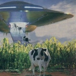 Stream VLKANZ music | Listen to songs, albums, playlists for free on SoundCloud VLKANZ