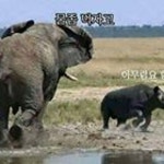 변호사황도연법률사무소 | Stream 황도연 music | Listen to songs, albums, playlists for free on SoundCloud 황도연