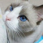 Stream 윤정민 music | Listen to songs, albums, playlists for free on SoundCloud 윤정민