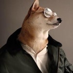 Stream 박재혁 music | Listen to songs, albums, playlists for free on SoundCloud 박재혁