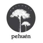 Stream Pehuén Editores music | Listen to songs, albums, playlists for free on SoundCloud Pehuén Editores