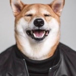 Stream Shiba Inu music | Listen to songs, albums, playlists for free on SoundCloud Shiba Inu