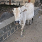 Stream Aurofrank music | Listen to songs, albums, playlists for free on SoundCloud Aurofrank